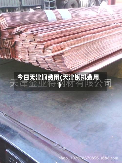 今日天津铜费用(天津铜排费用)-第1张图片