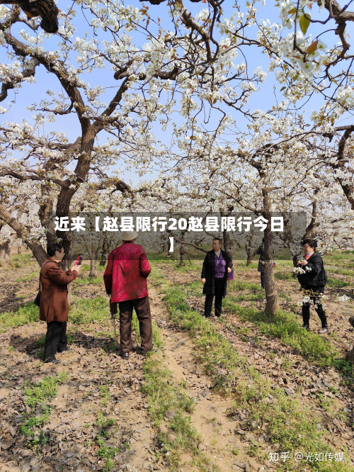 近来【赵县限行20赵县限行今日】
