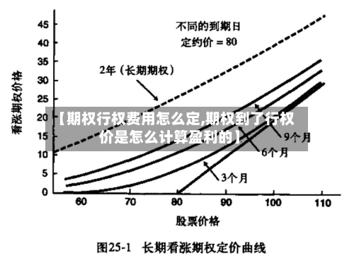 【期权行权费用怎么定,期权到了行权价是怎么计算盈利的】