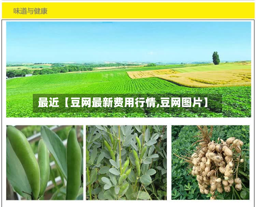 最近【豆网最新费用行情,豆网图片】