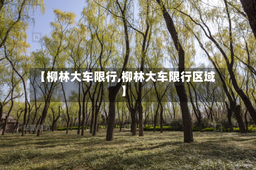 【柳林大车限行,柳林大车限行区域】