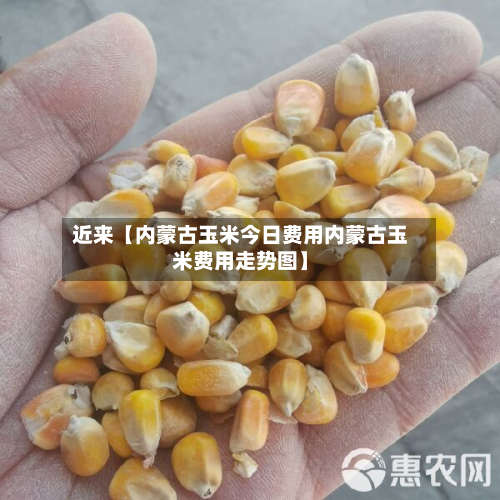 近来【内蒙古玉米今日费用内蒙古玉米费用走势图】-第1张图片