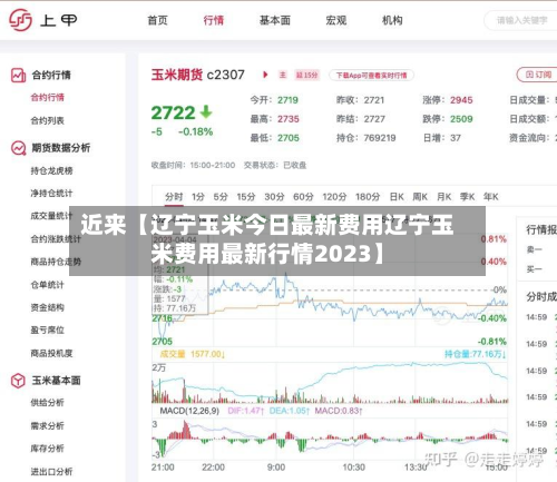 近来【辽宁玉米今日最新费用辽宁玉米费用最新行情2023】