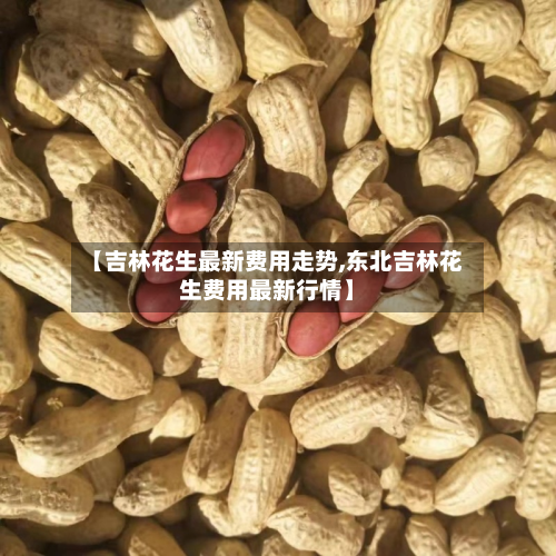 【吉林花生最新费用走势,东北吉林花生费用最新行情】