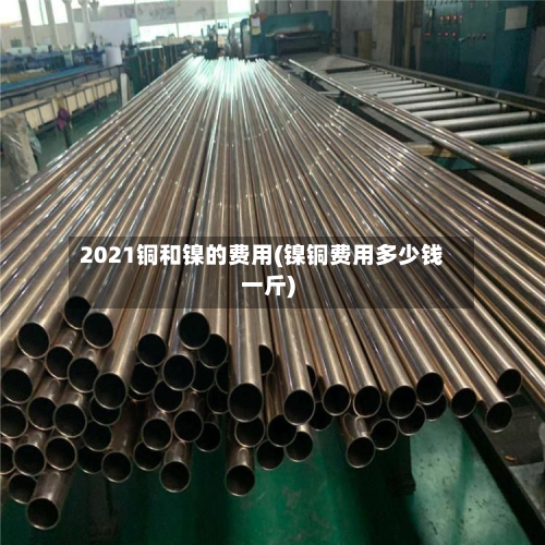 2021铜和镍的费用(镍铜费用多少钱一斤)