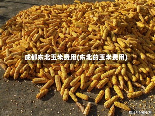 成都东北玉米费用(东北的玉米费用)