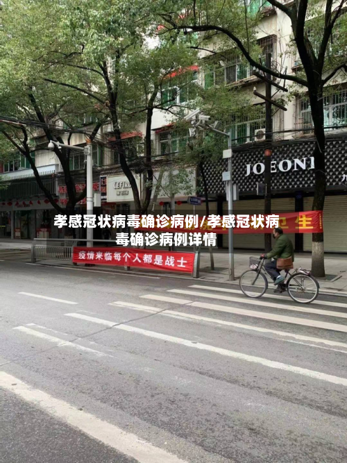 孝感冠状病毒确诊病例/孝感冠状病毒确诊病例详情