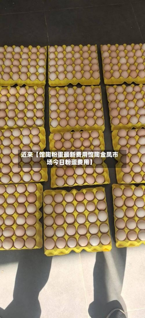 近来【馆陶粉蛋最新费用馆陶金凤市场今日粉蛋费用】
