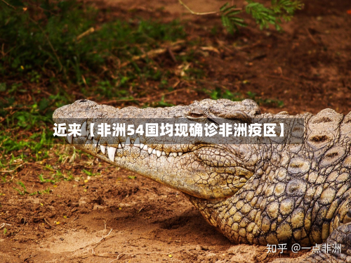 近来【非洲54国均现确诊非洲疫区】