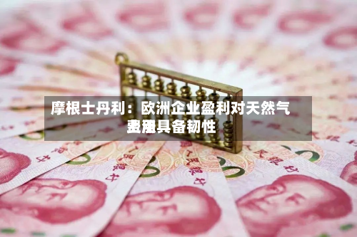 摩根士丹利：欧洲企业盈利对天然气费用上涨具备韧性
