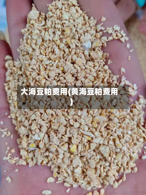 大海豆粕费用(黄海豆粕费用)