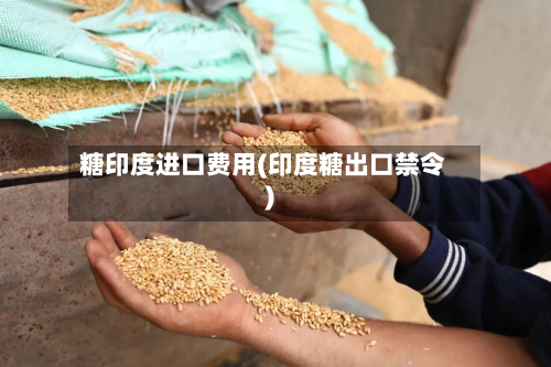 糖印度进口费用(印度糖出口禁令)
