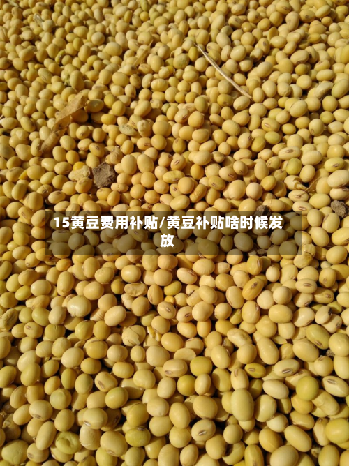 15黄豆费用补贴/黄豆补贴啥时候发放-第1张图片