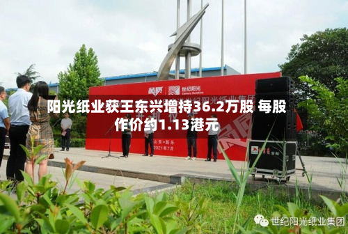 阳光纸业获王东兴增持36.2万股 每股作价约1.13港元-第1张图片