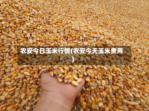 农安今日玉米行情(农安今天玉米费用)