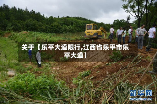 关于【乐平大道限行,江西省乐平市乐平大道】