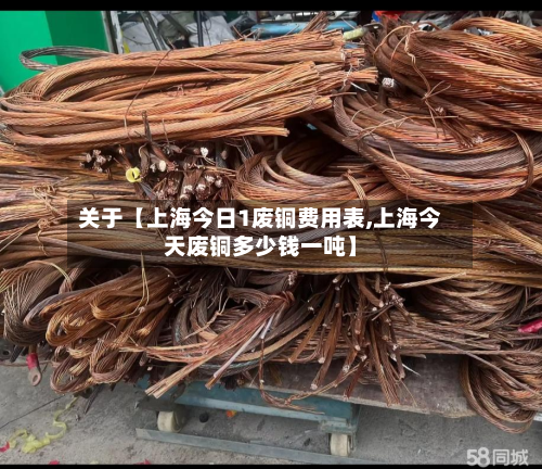 关于【上海今日1废铜费用表,上海今天废铜多少钱一吨】