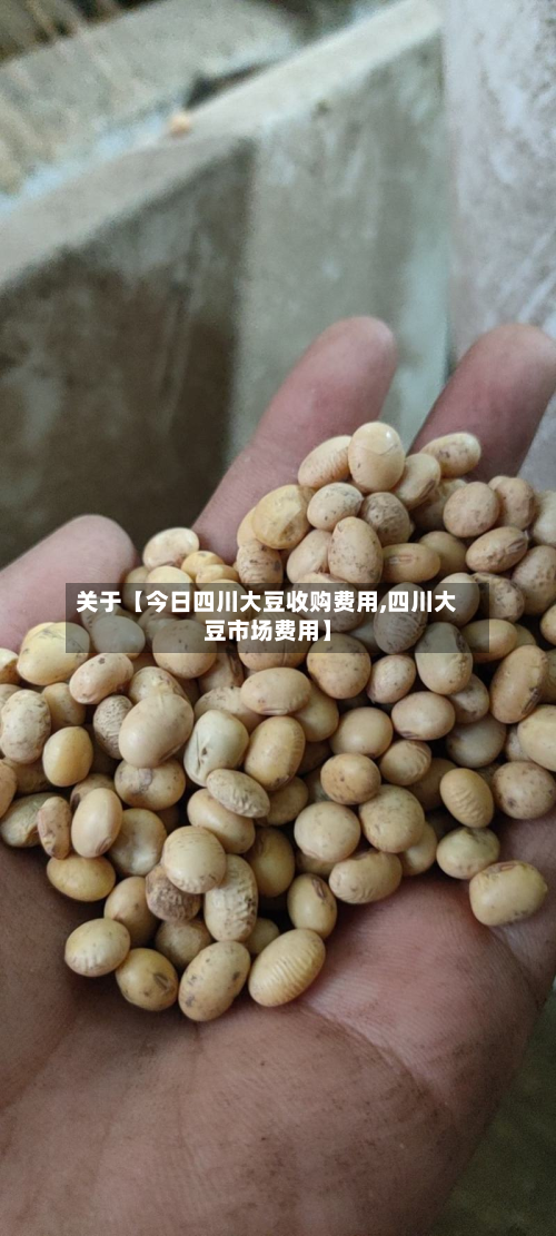 关于【今日四川大豆收购费用,四川大豆市场费用】-第1张图片