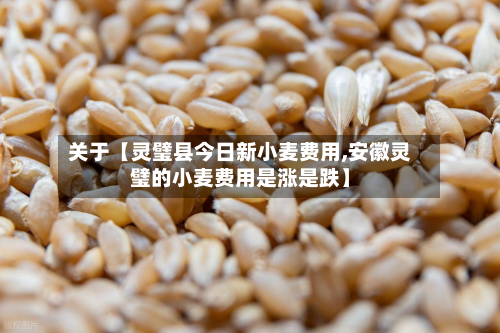 关于【灵璧县今日新小麦费用,安徽灵璧的小麦费用是涨是跌】