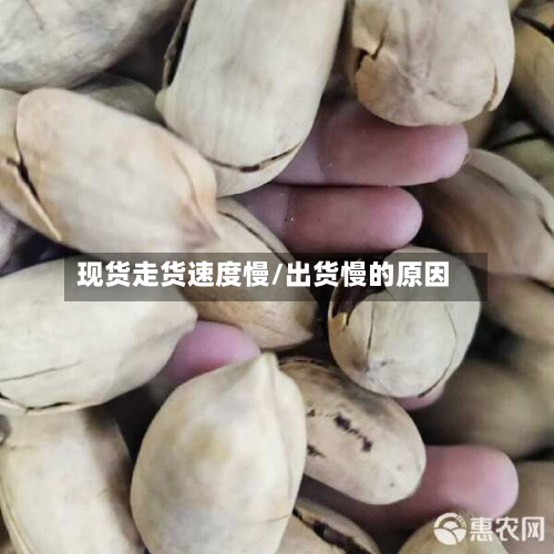 现货走货速度慢/出货慢的原因