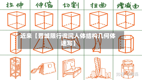 近来【晋城限行询问人体结构几何体速写】