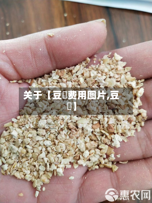 关于【豆粨费用图片,豆佉】