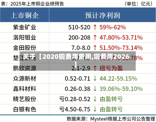 关于【2020铜费用费用,铜费用2026】