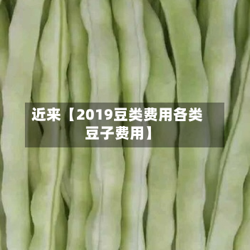 近来【2019豆类费用各类豆子费用】-第1张图片