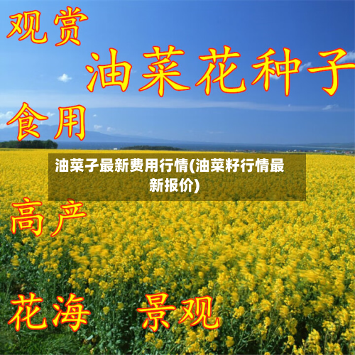 油菜孑最新费用行情(油菜籽行情最新报价)