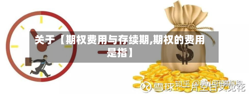 关于【期权费用与存续期,期权的费用是指】