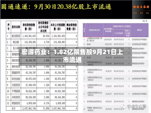 宏源药业：1.82亿限售股9月21日上市流通