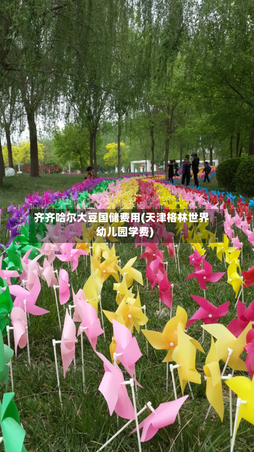 齐齐哈尔大豆国储费用(天津格林世界幼儿园学费)-第1张图片