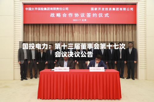 国投电力：第十三届董事会第十七次会议决议公告