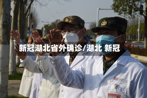 新冠湖北省外确诊/湖北 新冠