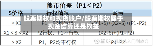 股票期权和现货账户/股票期权属于现金结算还是权益
