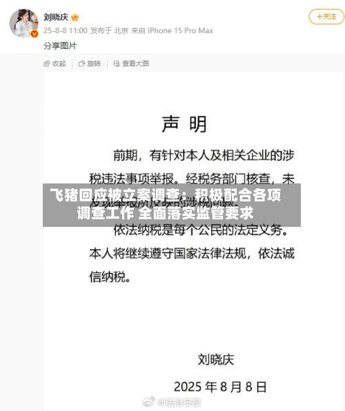 飞猪回应被立案调查：积极配合各项调查工作 全面落实监管要求