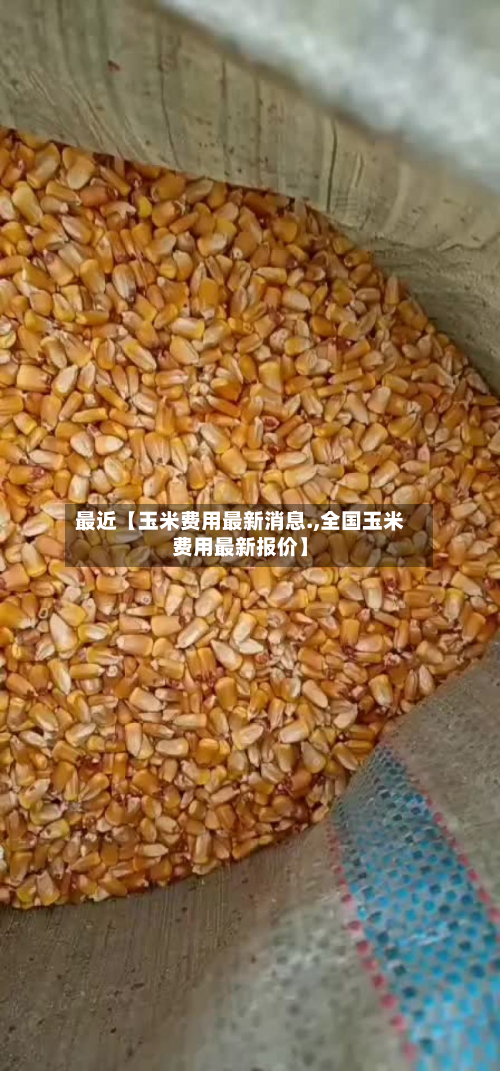 最近【玉米费用最新消息.,全国玉米费用最新报价】