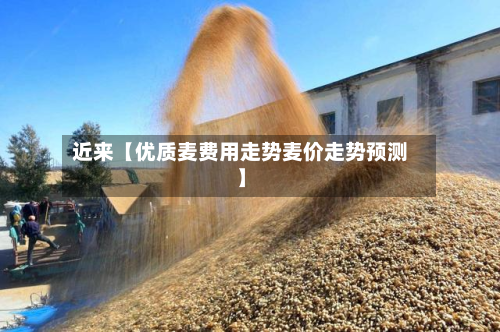 近来【优质麦费用走势麦价走势预测】