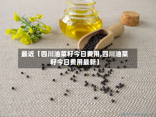 最近【四川油菜籽今日费用,四川油菜籽今日费用最新】-第1张图片