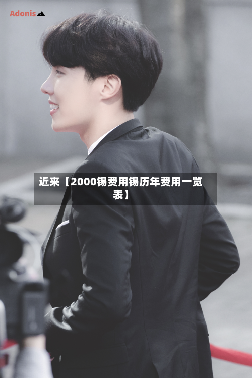 近来【2000锡费用锡历年费用一览表】