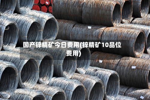 国产锌精矿今日费用(锌精矿10品位费用)