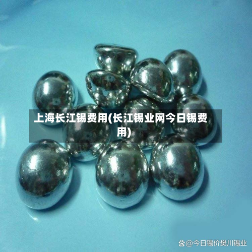 上海长江锡费用(长江锡业网今日锡费用)