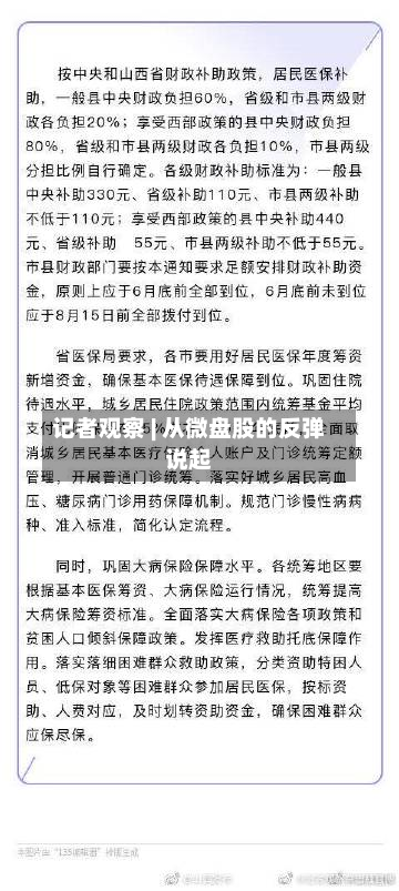 记者观察 | 从微盘股的反弹说起-第1张图片