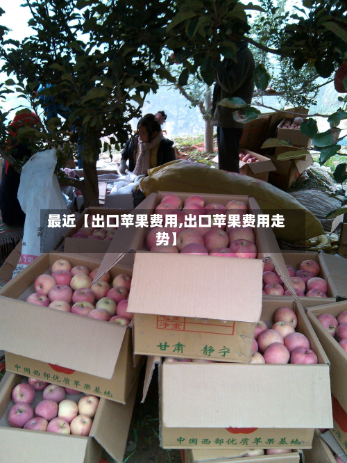 最近【出口苹果费用,出口苹果费用走势】