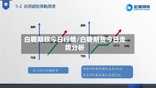 白糖期权今日行情/白糖期货今日走势分析-第1张图片