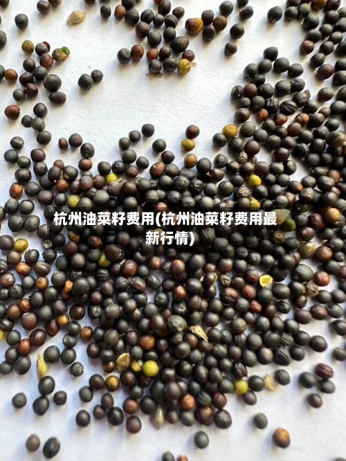 杭州油菜籽费用(杭州油菜籽费用最新行情)