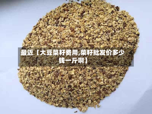 最近【大豆菜籽费用,菜籽批发价多少钱一斤啊】