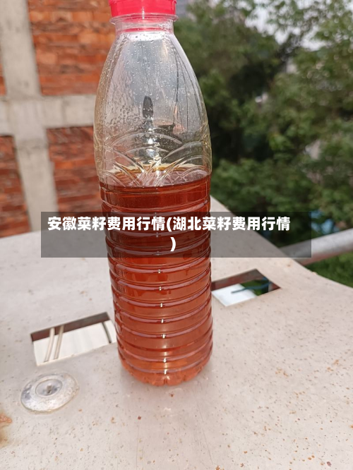 安徽菜籽费用行情(湖北菜籽费用行情)