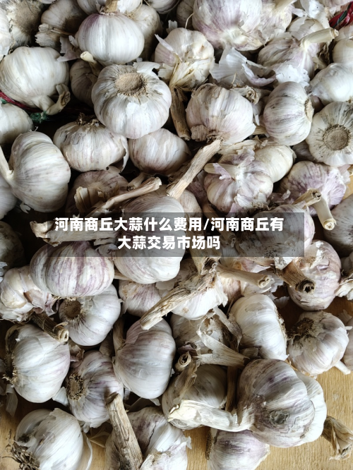 河南商丘大蒜什么费用/河南商丘有大蒜交易市场吗