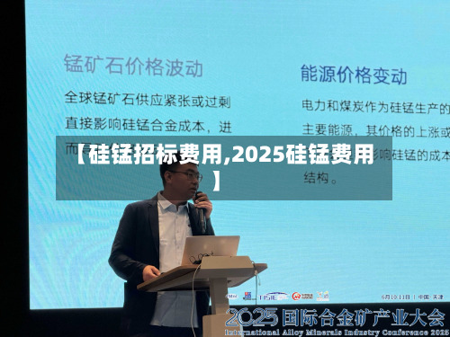 【硅锰招标费用,2025硅锰费用】